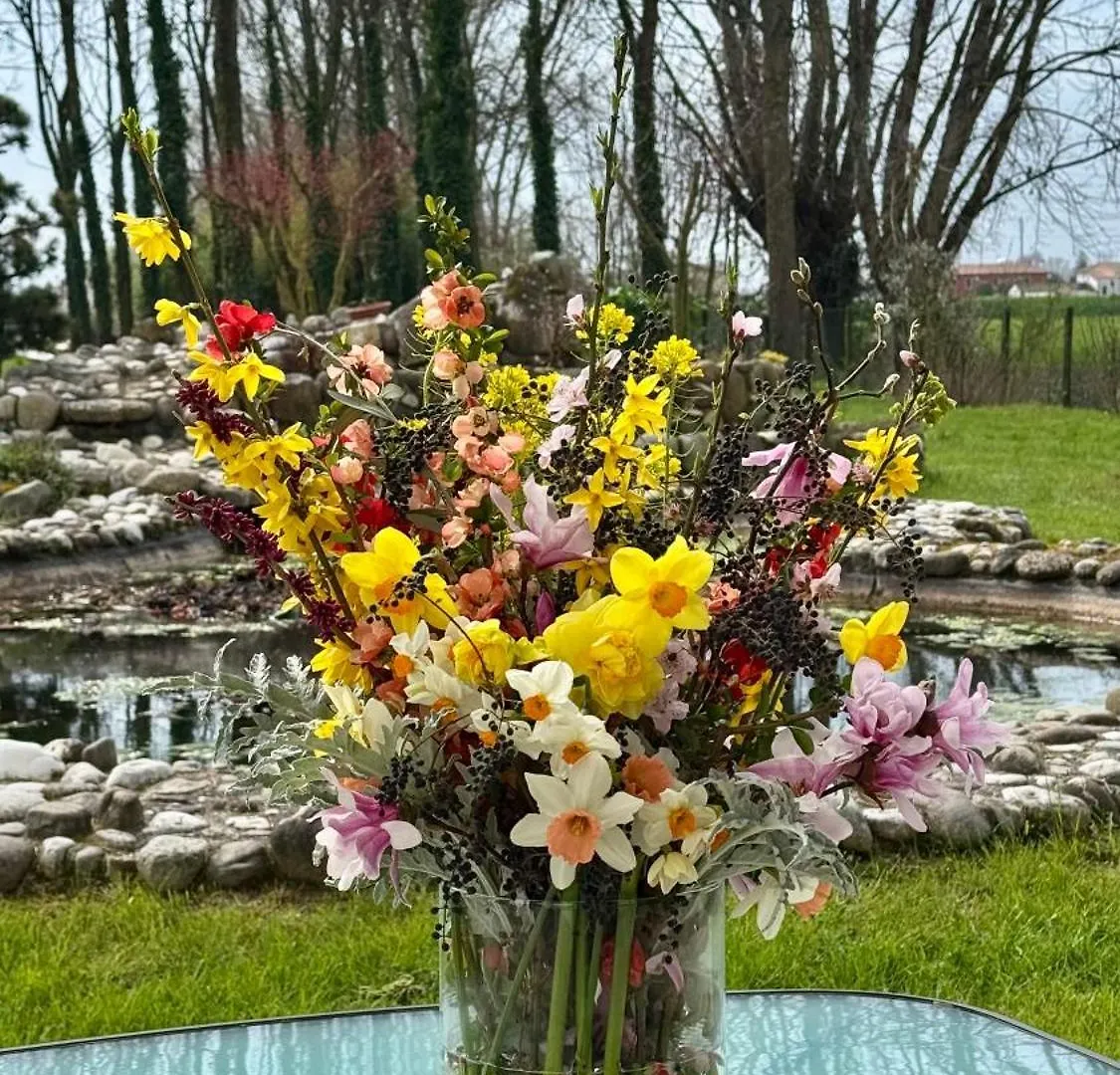 Pool & Garden Villa Lelia Mirano